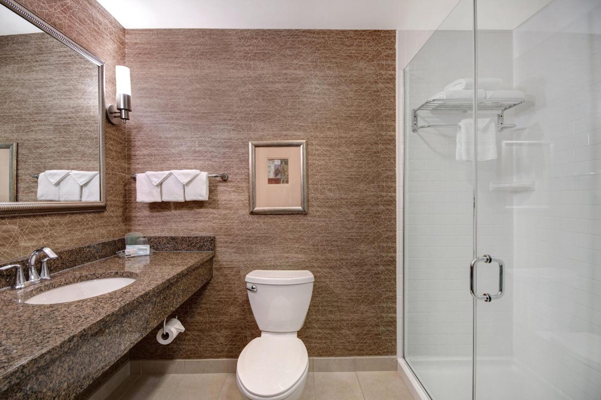 Holiday Inn Detroit Metro Airport By Ihg Romulus Exterior photo